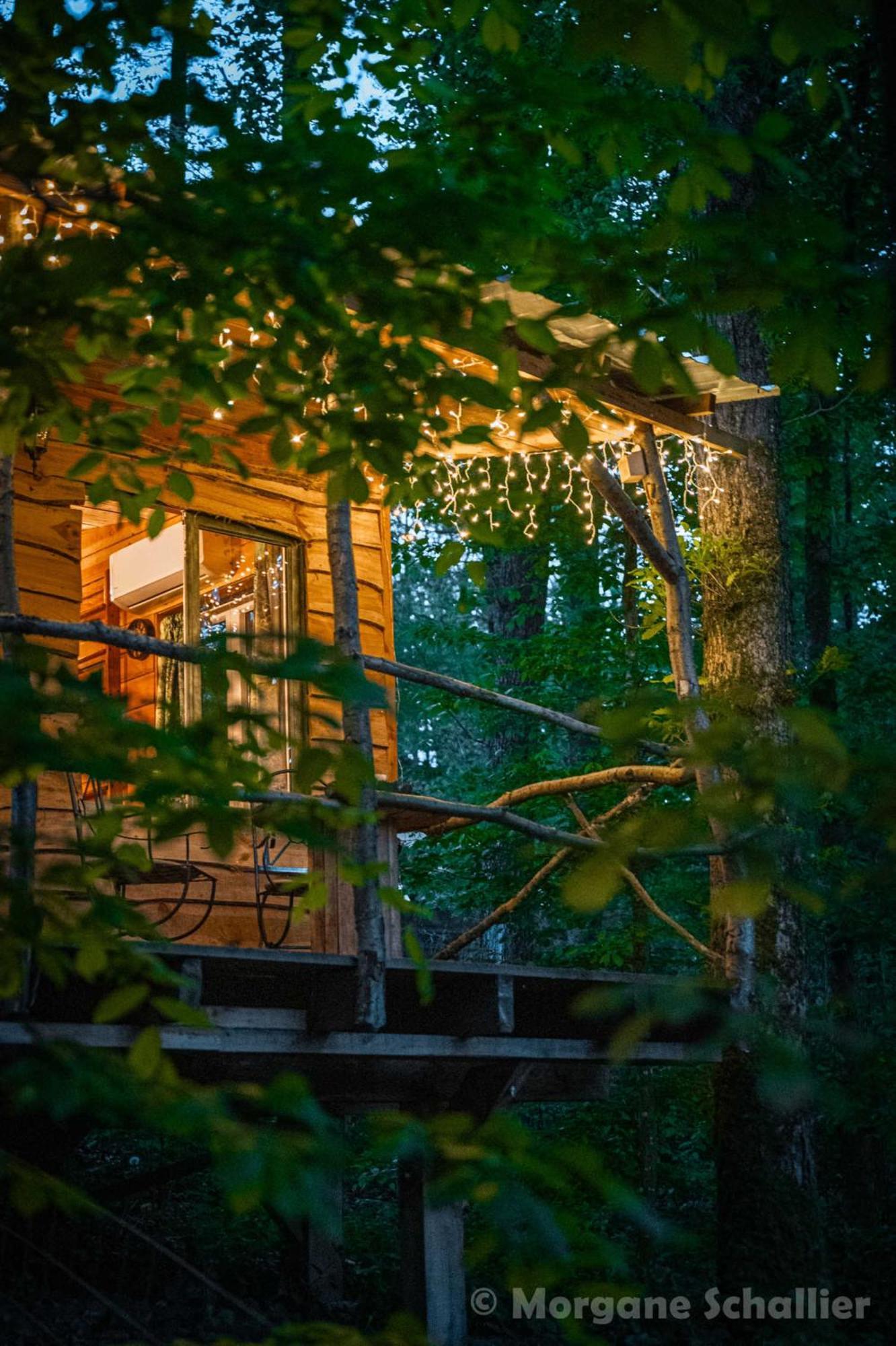 La Cabane Aux Ecureuils Philippeville Exterior foto